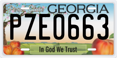 GA license plate PZE0663
