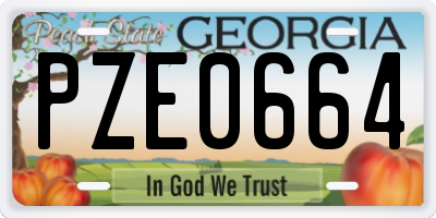 GA license plate PZE0664