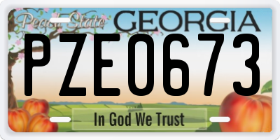 GA license plate PZE0673