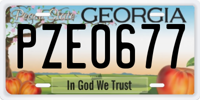 GA license plate PZE0677