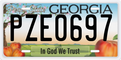 GA license plate PZE0697