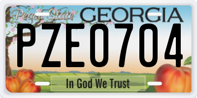 GA license plate PZE0704