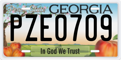 GA license plate PZE0709