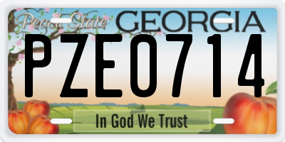 GA license plate PZE0714