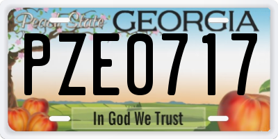 GA license plate PZE0717
