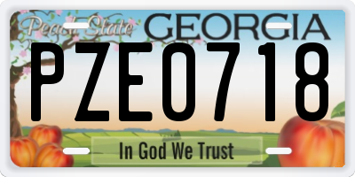 GA license plate PZE0718