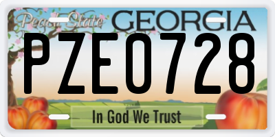 GA license plate PZE0728
