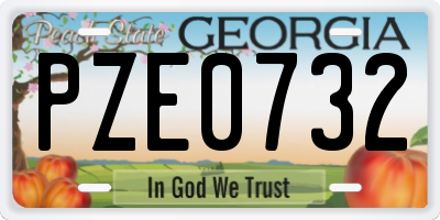 GA license plate PZE0732