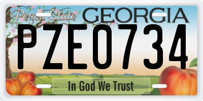 GA license plate PZE0734
