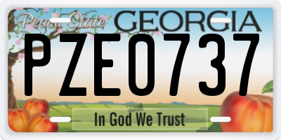 GA license plate PZE0737