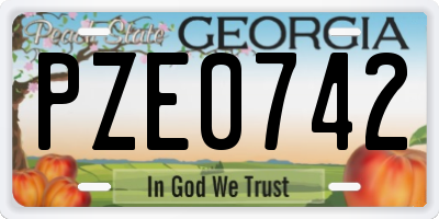 GA license plate PZE0742