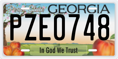 GA license plate PZE0748