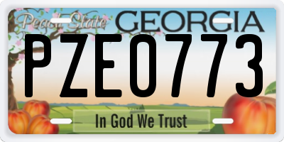 GA license plate PZE0773