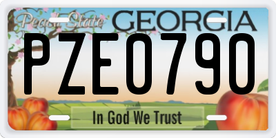 GA license plate PZE0790