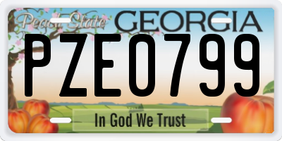 GA license plate PZE0799