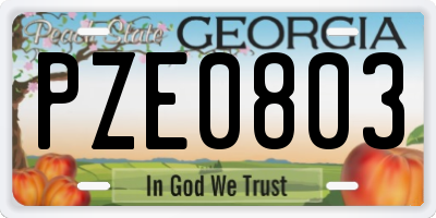 GA license plate PZE0803