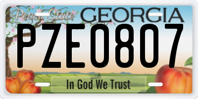GA license plate PZE0807