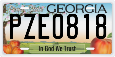 GA license plate PZE0818