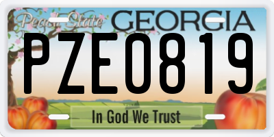 GA license plate PZE0819