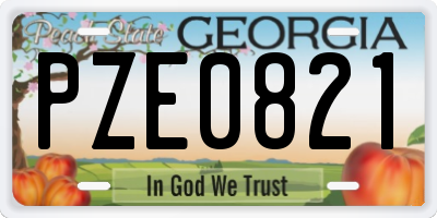 GA license plate PZE0821