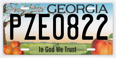 GA license plate PZE0822