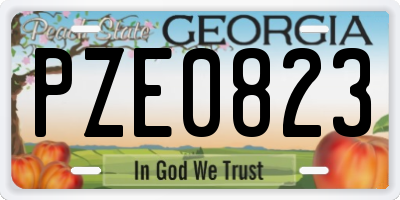 GA license plate PZE0823