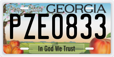 GA license plate PZE0833