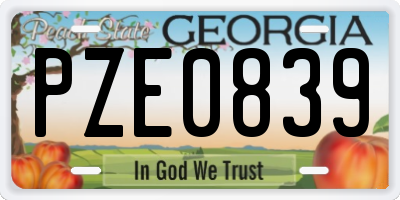 GA license plate PZE0839