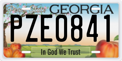 GA license plate PZE0841