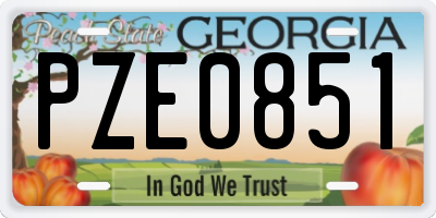 GA license plate PZE0851