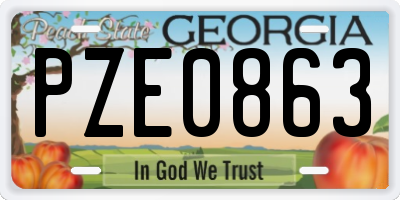 GA license plate PZE0863