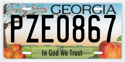 GA license plate PZE0867