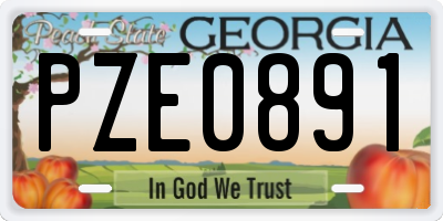 GA license plate PZE0891