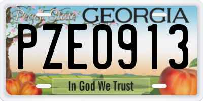 GA license plate PZE0913
