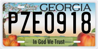 GA license plate PZE0918