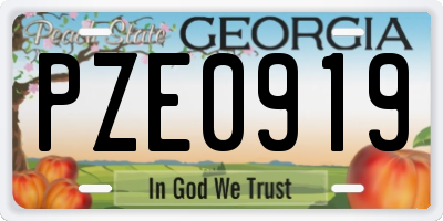 GA license plate PZE0919