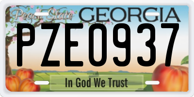 GA license plate PZE0937