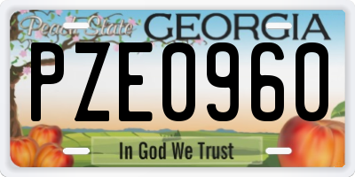 GA license plate PZE0960