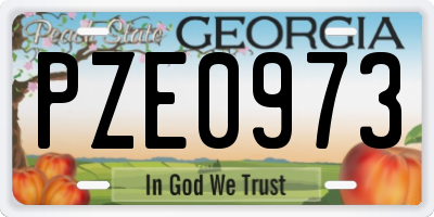 GA license plate PZE0973