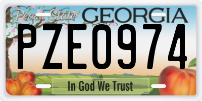 GA license plate PZE0974
