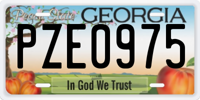 GA license plate PZE0975
