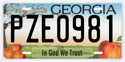GA license plate PZE0981