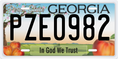 GA license plate PZE0982