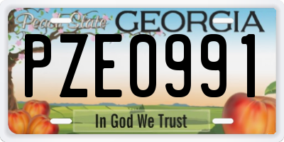 GA license plate PZE0991
