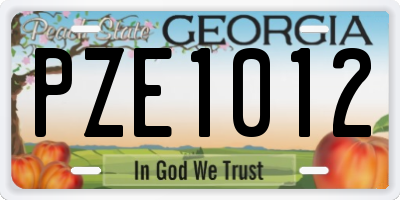 GA license plate PZE1012