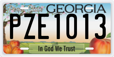 GA license plate PZE1013
