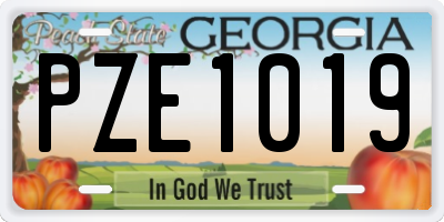GA license plate PZE1019