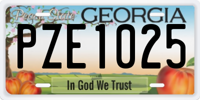 GA license plate PZE1025