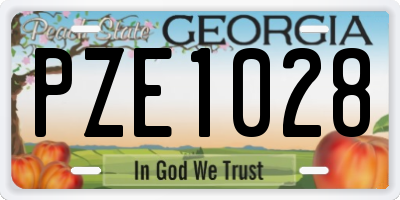 GA license plate PZE1028