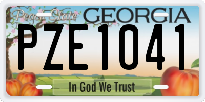 GA license plate PZE1041